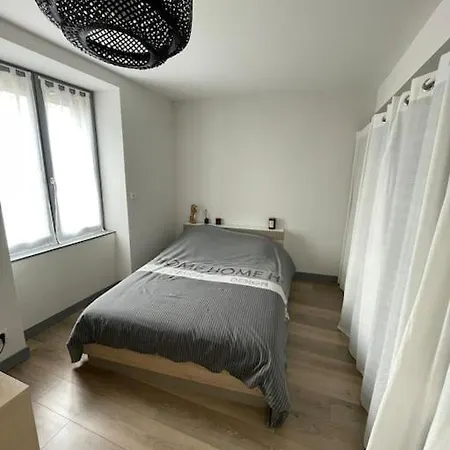 Apartment En Duplex Avec Terrasse Saint-Etienne (Loire)
